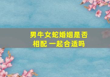 男牛女蛇婚姻是否相配 一起合适吗